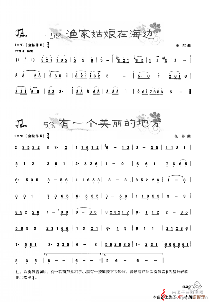 渔家姑娘在海边 有一个美丽的地方简谱（王酩、杨菲葫芦丝精选曲）