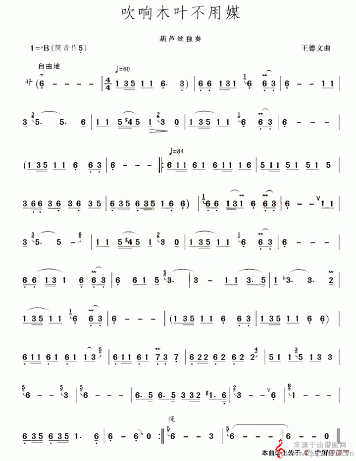 吹响木叶不用媒简谱（吹响木叶不用媒简谱葫芦丝独奏）