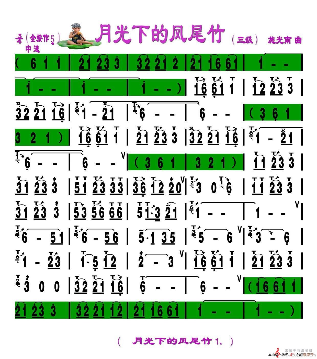 月光下的凤尾竹（月光下的凤尾竹葫芦丝简谱）